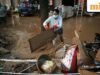 Lũ lụt ở Trung Quốc: hơn 900 con rắn trốn khỏi trang trại chăn nuôi ở Quảng Tây; chính quyền vội vàng bắt chúng