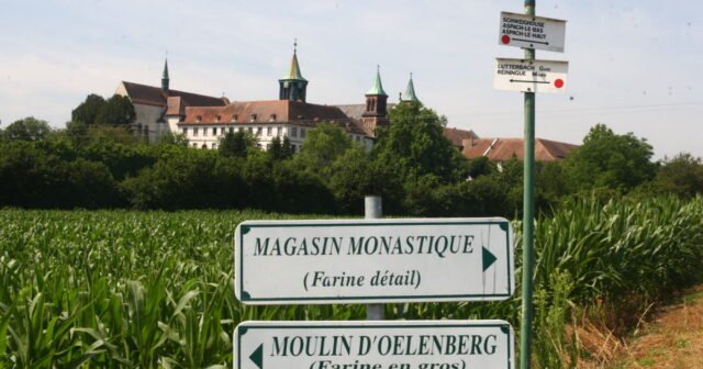 Mulhouse. Anh ta tự nhận mình là “sứ giả của