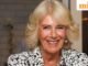 Sinh ngày 17 tháng 7? Bạn có cùng ngày sinh nhật với Nữ hoàng Camilla, David Hasselhoff, Luke Bryan