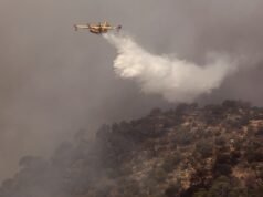 Tây Ban Nha và Algeria đau buồn vì cháy rừng lớn và chết người