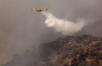 Tây Ban Nha và Algeria đau buồn vì cháy rừng lớn và chết người