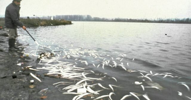 Trở lại “Chernobasel”. Thảm họa Sandoz và “cái chết thứ