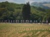 Trực tiếp Tour de France 2026. Độ khó trong ngày không có vấn đề gì, cuộc chạy nước rút lớn ở Pau đang rình rập… Theo dõi trực tiếp chặng 5