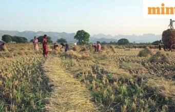Trung tâm phát hành 25.863 ₹ crore khi chương trình việc làm mới ở nông thôn VB-G-RAM-G được triển khai trên toàn quốc