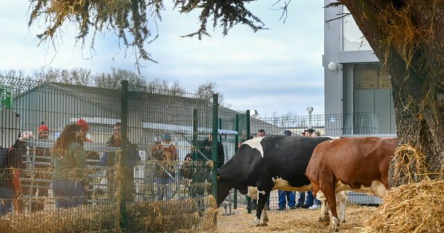 Vosges. Lactalis thông báo cho các công đoàn nông nghiệp