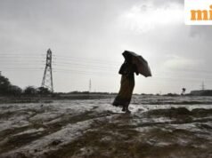 WMO cảnh báo El Niño mạnh có thể làm tăng nhiệt độ toàn cầu – tác động sẽ như thế nào?