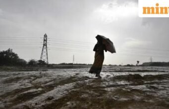 WMO cảnh báo El Niño mạnh có thể làm tăng nhiệt độ toàn cầu – tác động sẽ như thế nào?