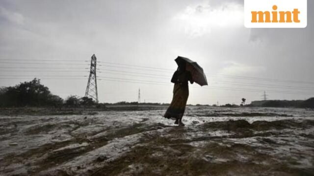 WMO cảnh báo El Niño mạnh có thể làm tăng