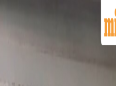 Xem: Học sinh Mumbai chào đón những người biểu tình CJP từ cửa sổ trường học, video lan truyền gây xôn xao cộng đồng trực tuyến